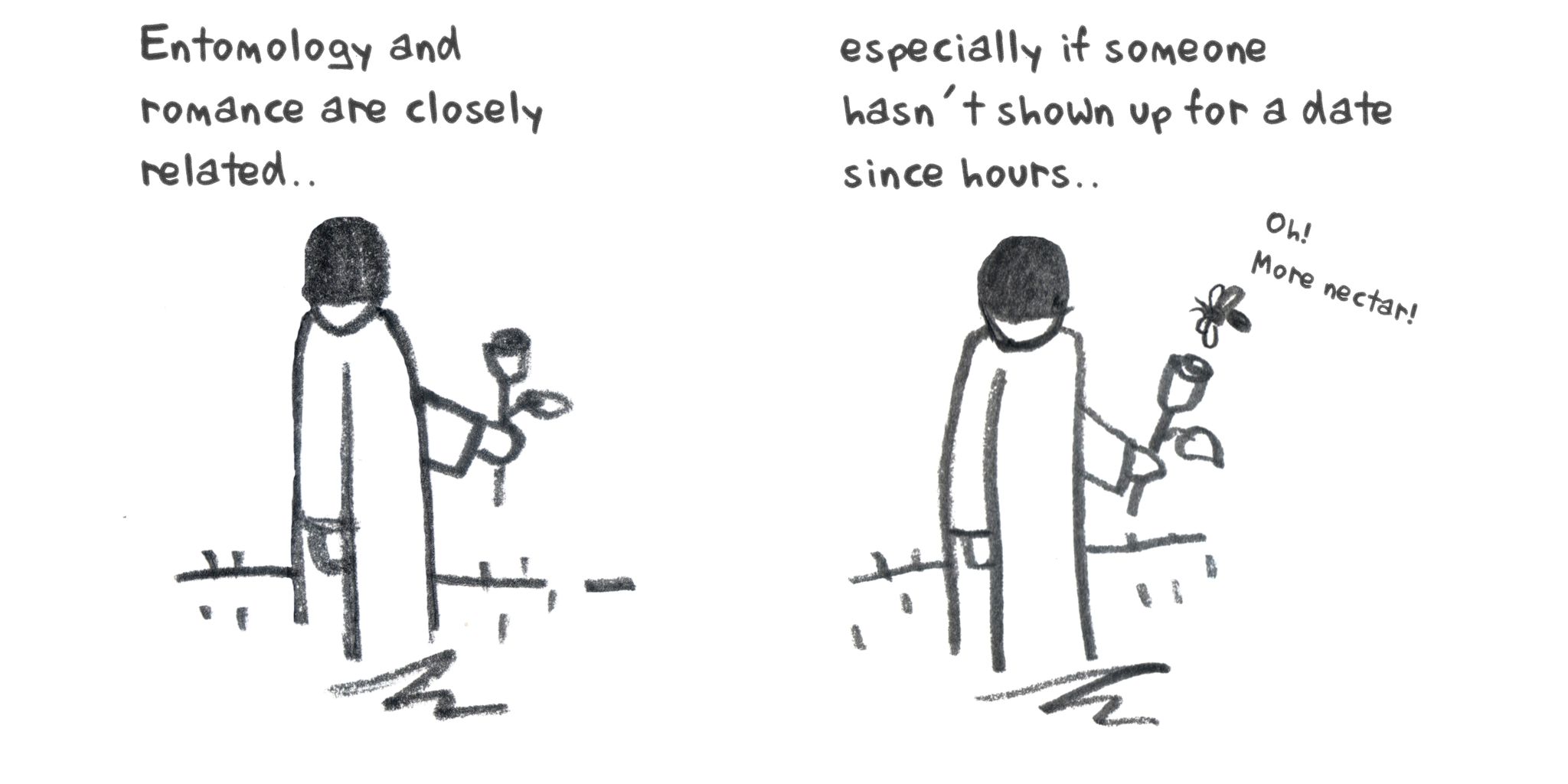 Entomology and Romance