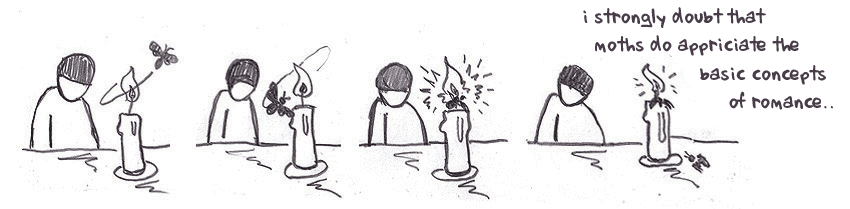 Moth Romance